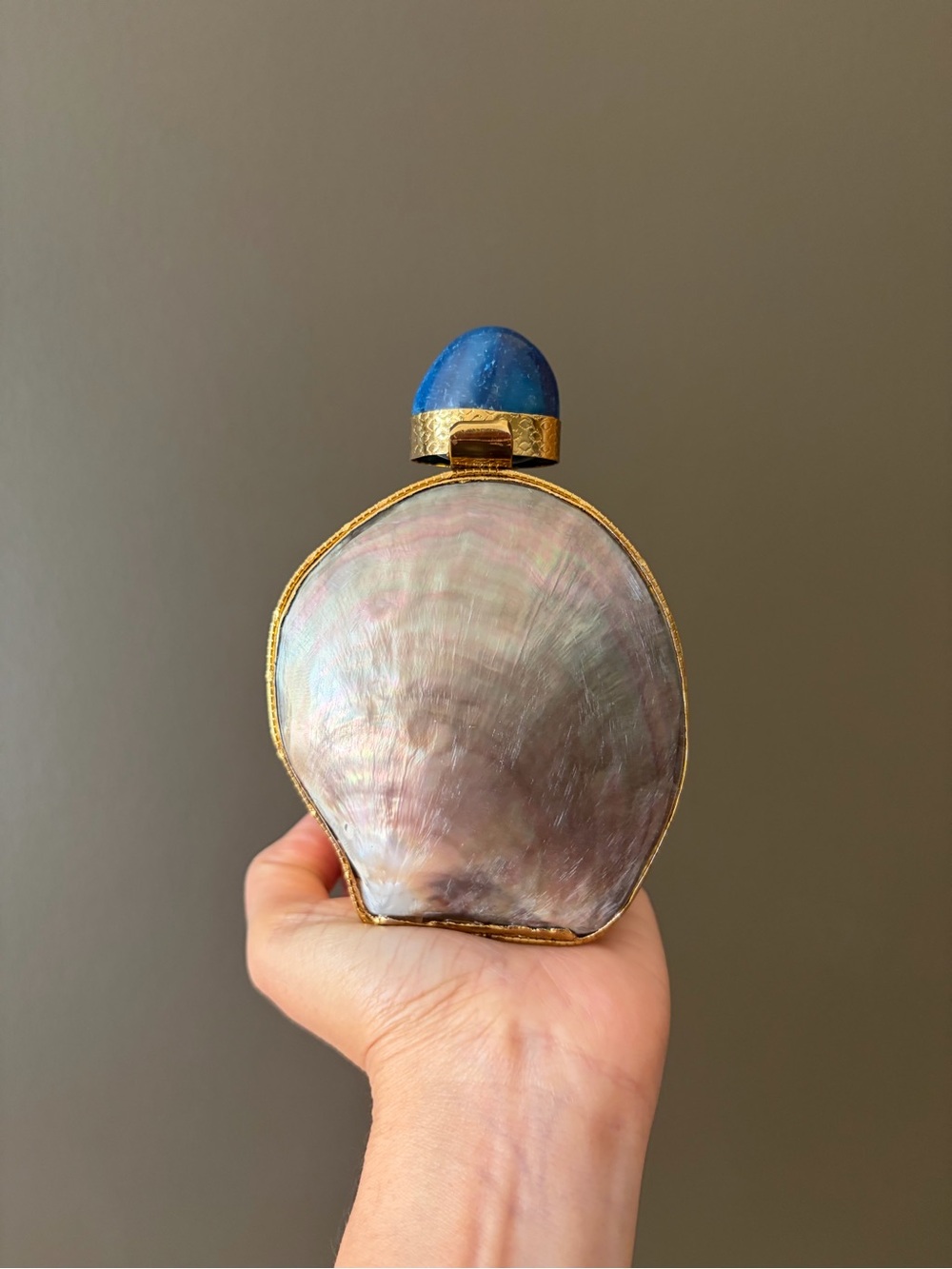 ✨ MINI Blue Agate & Mother-of-Pearl Shell Clutch